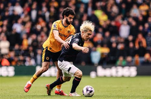 What's a Bingo Game?